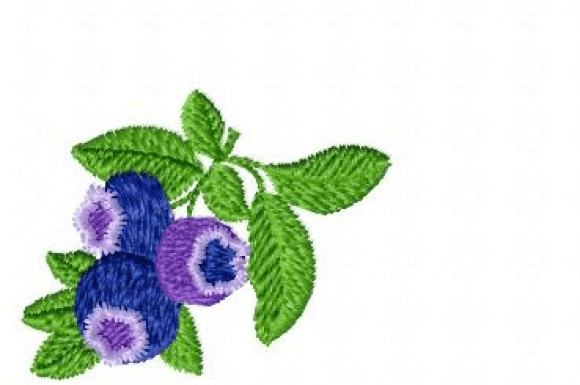 Blueberry Embroidery Design Review for Personalized Gifts
